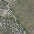 Complaint about neighbor’s dog at Winmore Farms