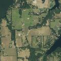 Person reported sick near County Road 1576 in Alba TX