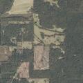 Woods fire reported on Tracie Road in Carthage