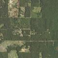 Trespassers reported at property on Conley Lane