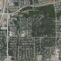 Elderly woman with back pain after fall in Euless