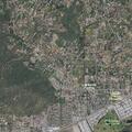 Person sick near Paseo Park Drive
