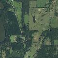 Person fell near Farm To Market Rd 69 in Quitman