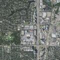Person with headache near Park Lane and Paris Plaza, Dallas