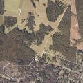 Juvenile disturbance reported on Crystal Springs Road