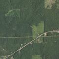 Person having a seizure near Highway 2 in Plain Dealing
