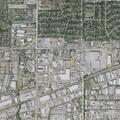 Animal bite reported near Shepherd Drive