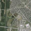 Person with suicidal ideation near Petunia Lane