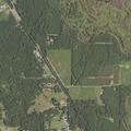 Tree blocking part of northbound lane on Highway 1