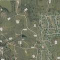 Stray dog reported near Wiley Thompson Cove