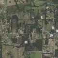 Obvious death reported near Portwood Road and Briarwood Road