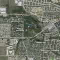 Fallen tree blocks Walker Drive and damages car