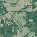 Loose pit bull reported on Old Rumble Road