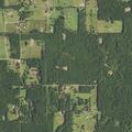 Person injured after a fall near Red Bud Lane