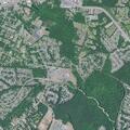 Person reported sick near Royall Road, Ladson