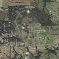 9-year-old male medical alarm near Paradise
