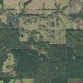 Illegal burn near wooded area in Marietta