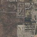 Elderly man with altered mental status near Montevallo