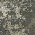 Loose shepherd-type dogs reported chasing woman and children near Magnolia Circle