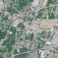 Person with back pain treated near Moncks Corner