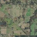 Person receives CPR on Co Rd 1220 in Mt Pleasant TX