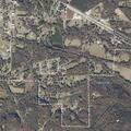 Tree debris partially cleared from roadway