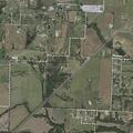 Motorist reports collision with large dog on FM 428