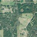 Person injured in fall near Lynch Road, Cross Street Ridgeway Court