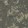 Domestic assault reported on Spring Branch Road
