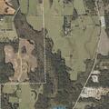 Man collapses and regains responsiveness in Harpersville