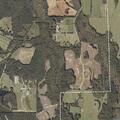 Out-of-control brush fire on Dead Hollow Road