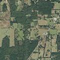 Livestock investigation follow-up at county road home