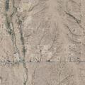 Person with altered consciousness near Tonopah
