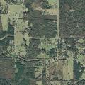 Loose cows reported near FM 3098 roadway