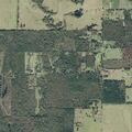 Report of stolen horse at rural residence