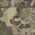 Woman choking at Magnolia Crest Estates