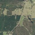 Injured driver in crash with deer on Highway 98