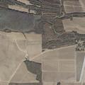 Person fallen near County Road 167, Edavant