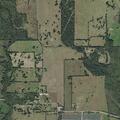 Elderly woman with vomiting and diarrhea near Pattonville