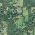 Person reporting chest pain at Bonner Goldmine Road