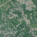 Person with anaphylaxis near Coker Drive, Aiken