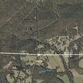 80-year-old man with head and neck injury in Alabama
