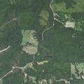 84-year-old woman fell and needs help in Hermitage