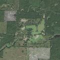 Person reports severe abdominal pain in Buckner