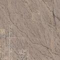 person treated for animal bite in tonopah