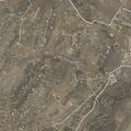 Woman reportedly held captive by partner
