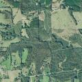 Person with allergic reaction at West Highway 166