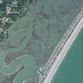 Person with general illness near S Waccamaw Drive