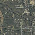 Teen reportedly assaulting mother at Bluff Creek home