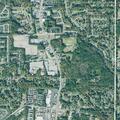 Two dogs detained near Oak Bend Court